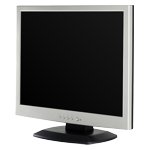 Monitor Datenblatt DTK TFT-M199DS