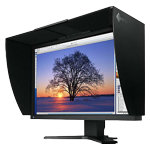 Monitor Datenblatt Eizo CG222W