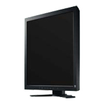 Monitor Datenblatt Eizo RadiForce GS310