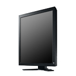 Monitor Datenblatt Eizo RadiForce GS520