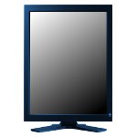 Monitor Datenblatt Eizo RadiForce GS521-BL