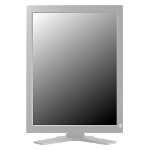 Monitor Datenblatt Eizo RadiForce GS521-CL