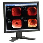 Monitor Datenblatt Eizo RadiForce R22