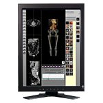 Monitor Datenblatt Eizo RadiForce R31