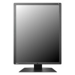Monitor Datenblatt Eizo RadiForce RX250