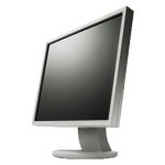Monitor Datenblatt Eizo S1921SA-GY