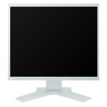 Monitor Datenblatt Eizo S1931SH-GY