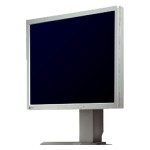 Monitor Datenblatt Eizo S2133-GY