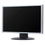 Monitor Datenblatt Fujitsu Siemens L19W-2