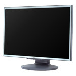 Monitor Datenblatt Fujitsu Siemens L19W-3