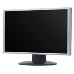Monitor Datenblatt Fujitsu Siemens L20-1W