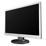 Monitor Datenblatt Fujitsu Siemens L22W-11