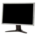 Monitor Datenblatt Fujitsu Siemens W19-1
