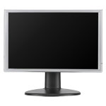 Monitor Datenblatt Hanns.G HW194DJ