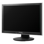 Monitor Datenblatt Hyundai N200Wa