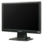 Monitor Datenblatt Hyundai X220Wa
