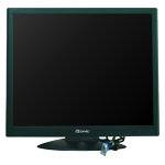 Monitor Datenblatt iiSonic IIV1971P