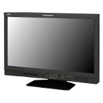 Monitor Datenblatt JVC DT-V24G1