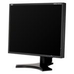 Monitor Datenblatt NEC LCD1990SXi Photo Edition
