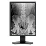 Monitor Datenblatt NEC MD211G3
