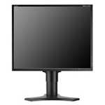 Monitor Datenblatt NEC MDview 202