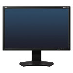 Monitor Datenblatt NEC MDview 243