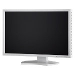Monitor Datenblatt NEC P212