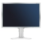 Monitor Datenblatt NEC P221W