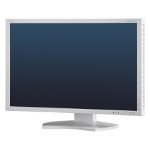 Monitor Datenblatt NEC P232W