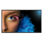 Monitor Datenblatt NEC SpectraView 552