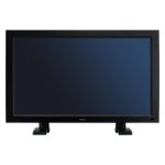 Monitor Datenblatt NEC V321 DST