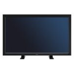 Monitor Datenblatt NEC V461