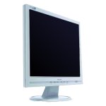 Monitor Datenblatt Philips 170S6FG