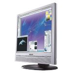 Monitor Datenblatt Philips 190P5ES