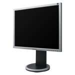 Monitor Datenblatt Samsung 203B