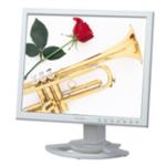 Monitor Datenblatt Sharp LL-TA1520-H