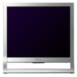 Monitor Datenblatt Sony SDM-HS95DS
