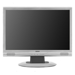 Monitor Datenblatt Targa Visionary LCD 19-5 Wide