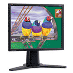 Monitor Datenblatt ViewSonic VP181b
