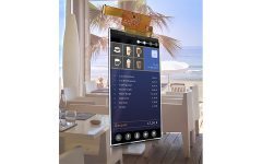 5 Zoll Blanview sonnenlichttaugliches Display von ORTUSTECH
