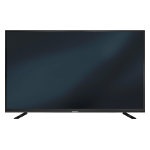 Fernseher Datenblatt Grundig 65 GUB 8782