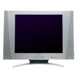 Fernseher Datenblatt Grundig Amira 45