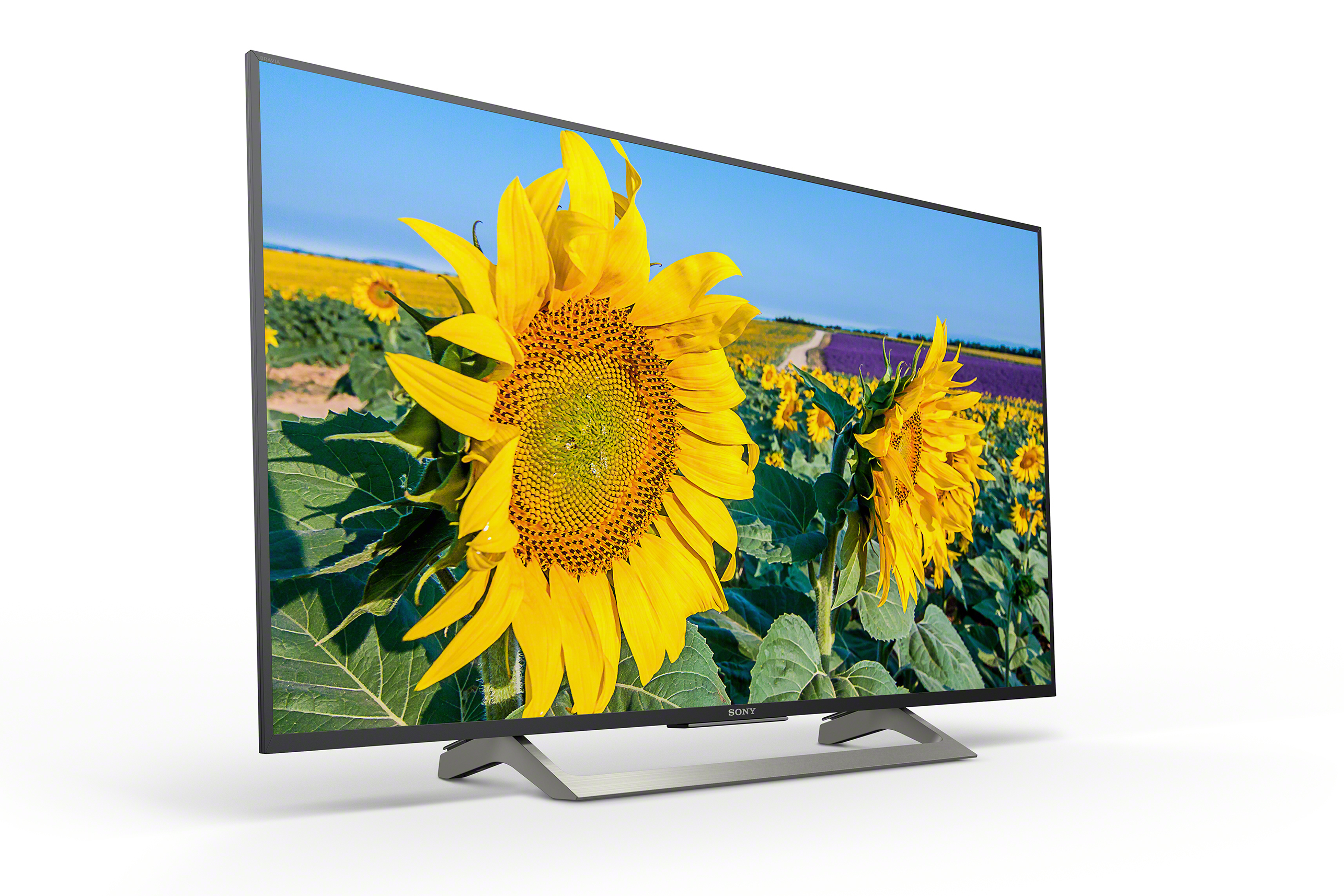 Sony Bravia XF80 Ansicht schräg