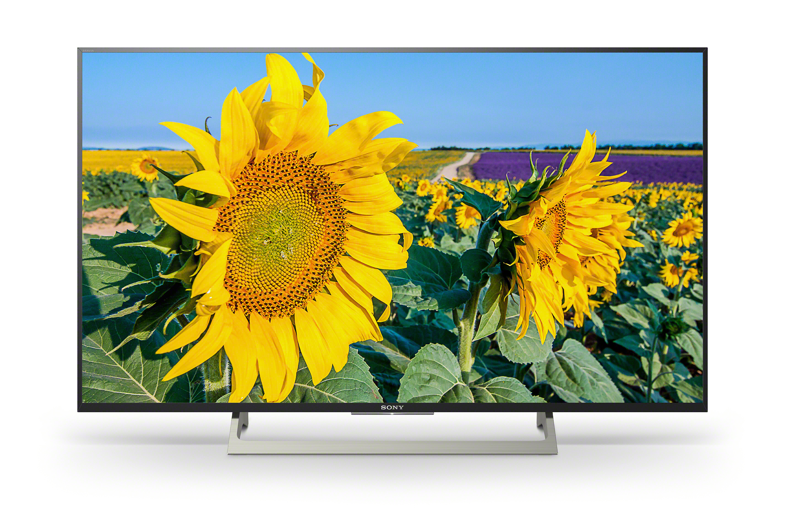 Sony Bravia XF80 frontale Ansicht