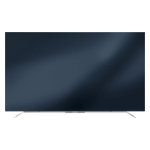 Fernseher Datenblatt Grundig 65 GOS 9896