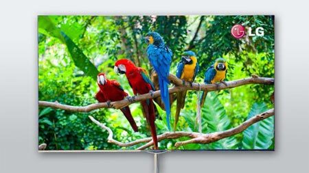 LG OLED TV zeigt 5 Papageien