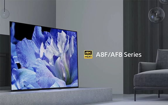 Sony Fernseher AF8 stellt Blume dar