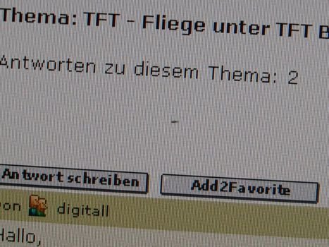 Der Albtraum: Ein kleines Insekt im Display