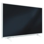 Fernseher Datenblatt Grundig 55 GUW 8860