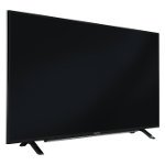 Fernseher Datenblatt Grundig 65 GUB 8866